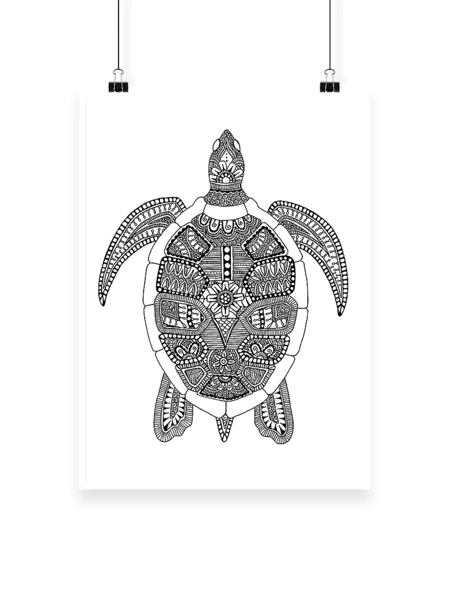 Turtle